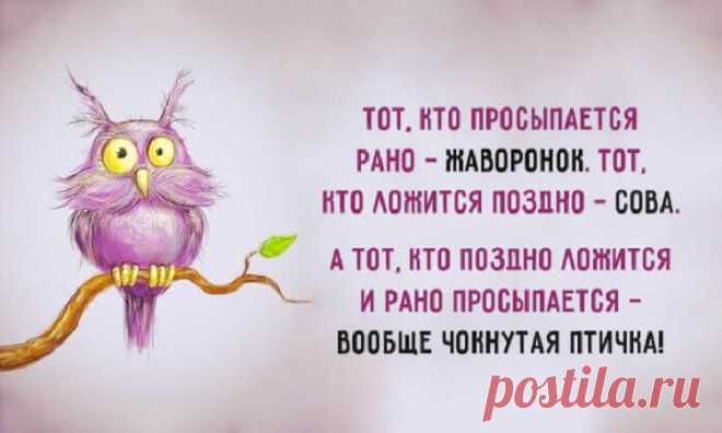 Весёлые картинки — Хорошее настроение – залог удачного дня.