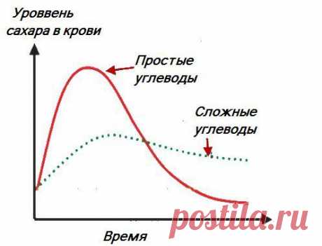 ЧТО ВЫ ЗНАЕТЕ О БЫСТРЫХ И МЕДЛЕННЫХ УГЛ / Спорт Сильных!