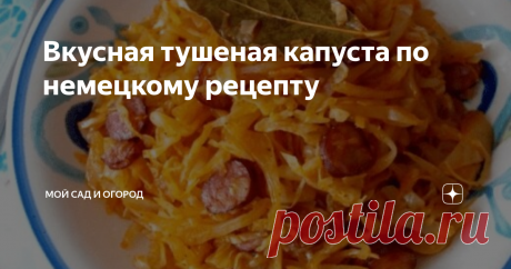 Вкусная тушеная капуста по немецкому рецепту Когда я только познакомилась со своим мужем, он покорил меня своим фирменным блюдом – тушеной капустой. Это был совершенно новый и необычный для меня вкус, так как ничего подобного раньше мне есть не приходилось.
Вот уже прошло много лет с того момента, как я впервые попробовала эту оригинальную закуску, но по сей день мой благоверный продолжает (изредка) баловать нас своей стряпней. Естественно,