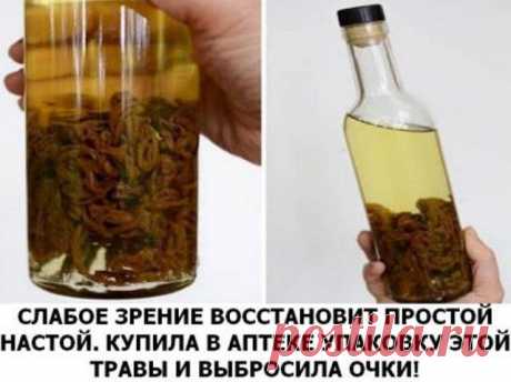 СЛАБОЕ ЗРЕНИЕ ВОССТАНОВИТ ПРОСТОЙ НАСТОЙ. КУПИЛА В АПТЕКЕ УПАКОВКУ ЭТОЙ ТРАВЫ И ВЫБРОСИЛА ОЧКИ!