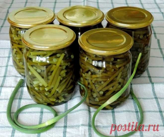 Рецепты приготовления чесночных стрелок — Кулинарная книга