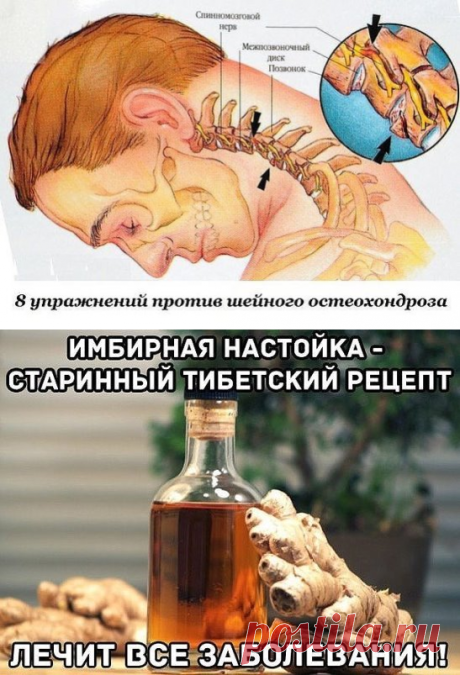(15) Одноклассники