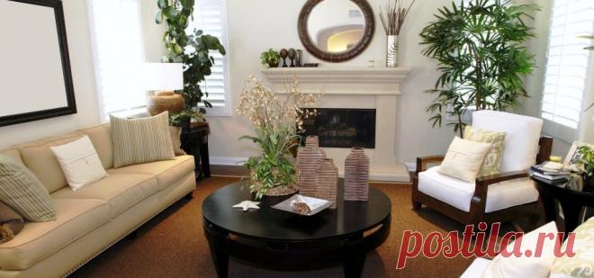 10 самых больших растений для интерьера: куда поставить, как ухаживать Не нравится интерьер дома, но нет средств на его переделку? Сухой воздух в квартире? Вы часто грустите без явного повода? Все эти и некоторые другие проблемы можно решить с помощью обыкновенных горшечных цветов. Или не совсем обыкновенных