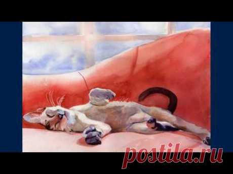 Rachel Parker - YouTube