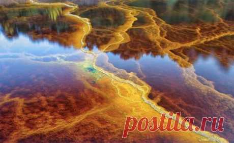 Самые сомнительные водоемы