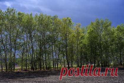 Педофил изнасиловал 14-летнюю российскую школьницу и отобрал у нее iPhone. В лесу возле Кронштадтского шоссе в Петербурге педофил изнасиловал 14-летнюю школьницу. Мужчина напал на девочку из Кронштадта и надругался над ней, после чего забрал у нее iPhone и скрылся в неизвестном направлении. Потерпевшая сама обратилась в полицию. Сейчас правоохранители устанавливают личность педофила.