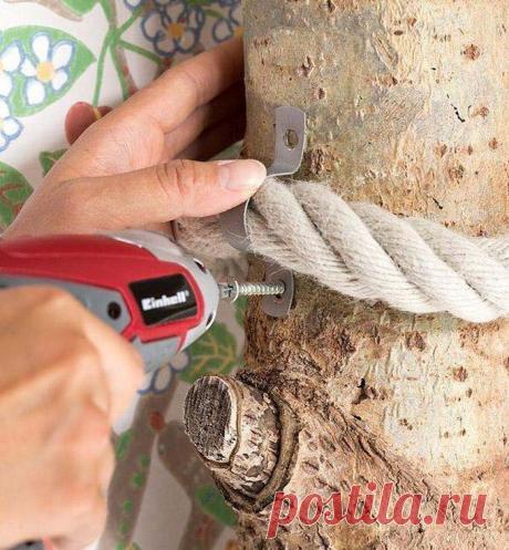 Советы для владельцев кошек — Делимся советами