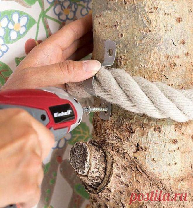 Советы для владельцев кошек — Делимся советами