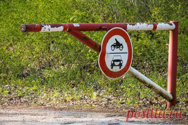 Десять требований к СНТ вводятся с 1 января 2021 года | Я- Адвокат.РУ | Яндекс Дзен