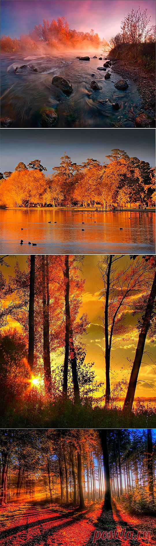 Осенняя природа картинки (47 фото) видео