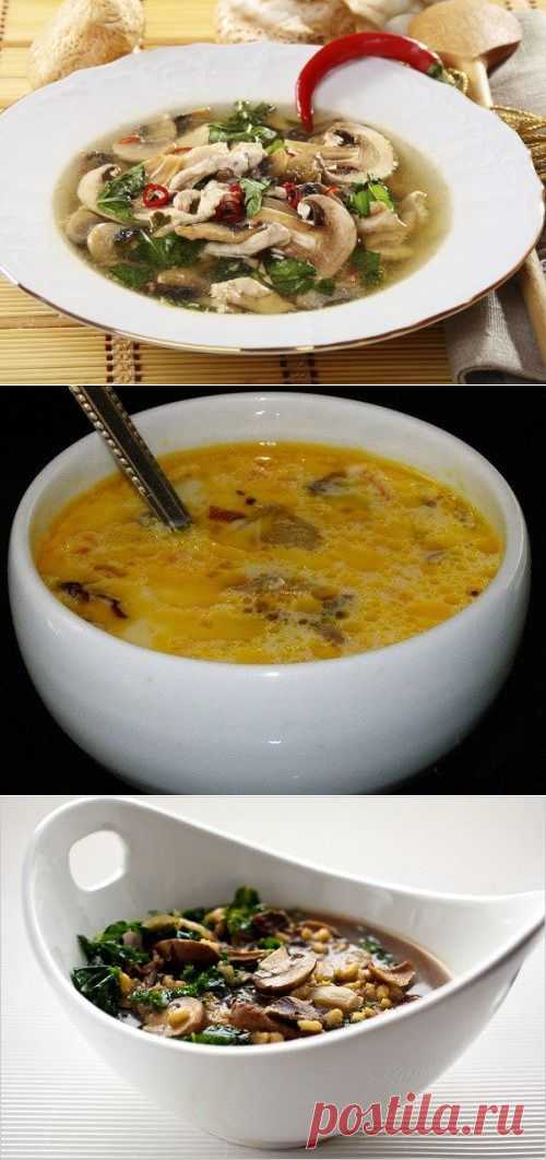 Пять вкусных супов с шампиньонами