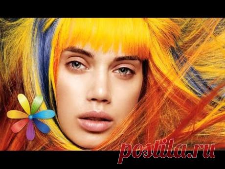 Как найти свой цвет волос - Все буде добре - Выпуск 259 - 25.09.2013 - Все будет хорошо