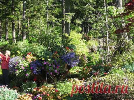 Ботанический сад Glacier Gardens, Juneau, Alaska