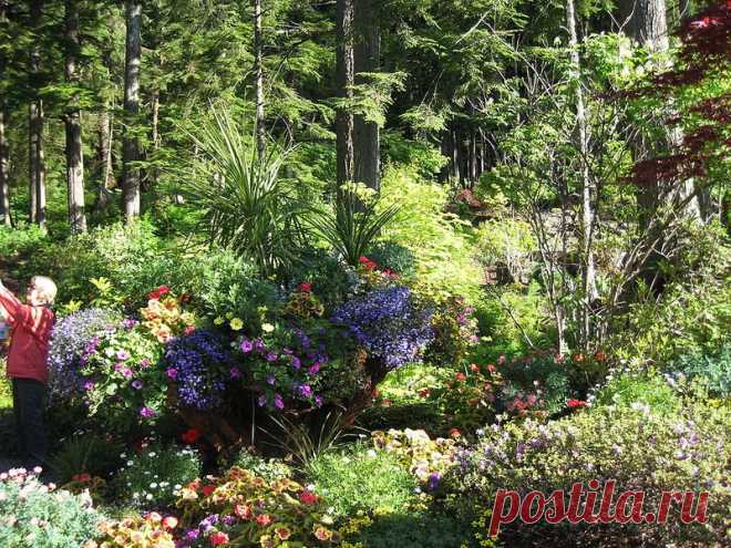 Ботанический сад Glacier Gardens, Juneau, Alaska
