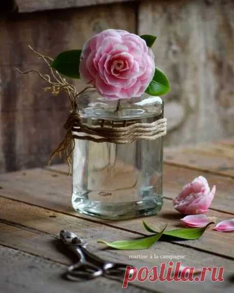 Koca REİS - Google+