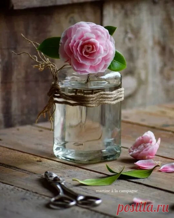 Koca REİS - Google+