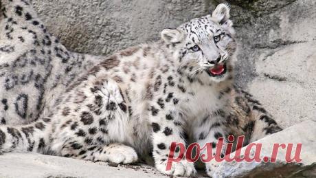 Интересные новости