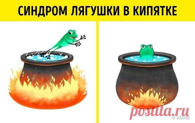 10 психологических эффектов, которые управляют нашей жизнью Когда мы говорим, что наши действия — это результат только наших решений, мы немного лукавим. Ведь мозг постоянно ухитряется обманывать нас, искажая восприятие реальности.Представляем 10 психологическ...