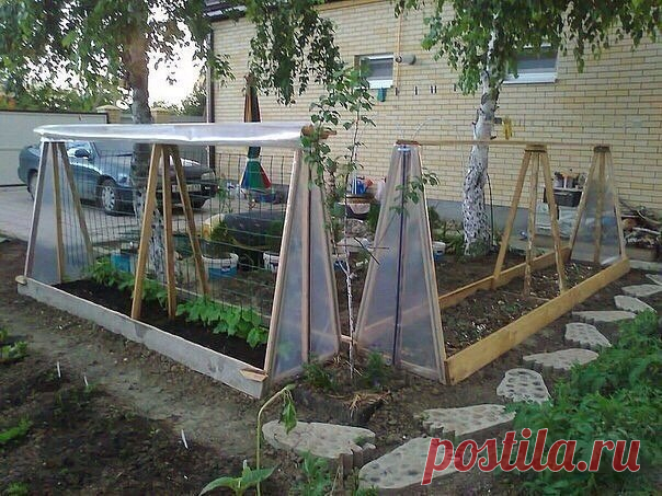 Идея для парника