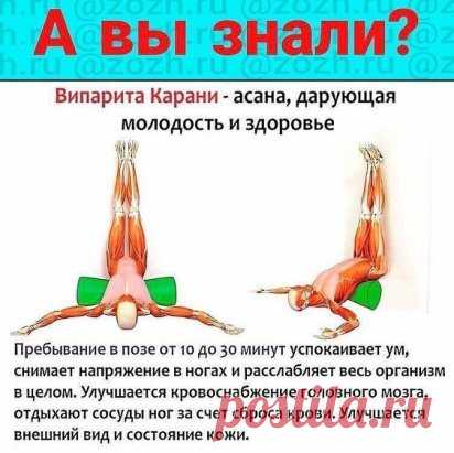 Чем полезна асана випарита карани