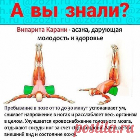 Чем полезна асана випарита карани