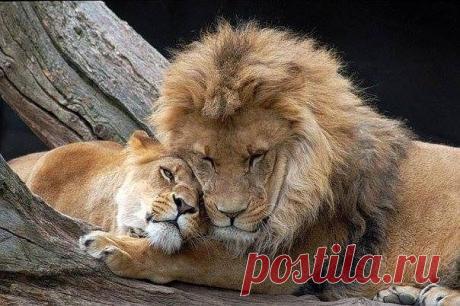 Фразы,Высказывания,Стихи,Цитаты,Видео...
Елена Станова