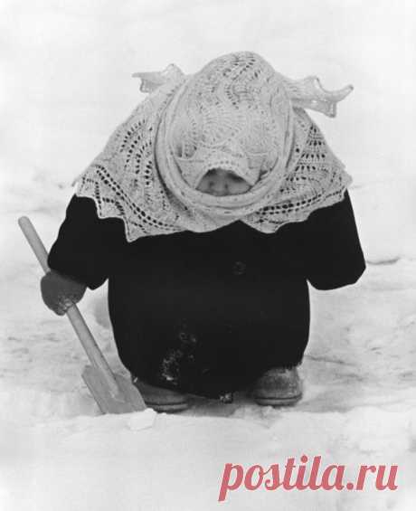 Шедевры советской фотографии