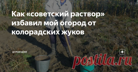 Как «советский раствор» избавил мой огород от колорадских жуков Колорадский жук, этот полосатый обжора, наверное, самый злостный вредитель огородных культур на дачном участке. Каждый огородник мечтает раз и навсегда избавиться от этой напасти, для чего использует самые разные методы. Я хочу поделиться своим рецептом от этой напасти. Рассказала мне о нем бабушка, которая применяла на своих грядках для борьбы с вредителями сада и огорода только народные методы. Называла она ...