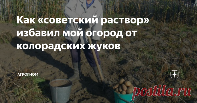 Как «советский раствор» избавил мой огород от колорадских жуков Колорадский жук, этот полосатый обжора, наверное, самый злостный вредитель огородных культур на дачном участке. Каждый огородник мечтает раз и навсегда избавиться от этой напасти, для чего использует самые разные методы. Я хочу поделиться своим рецептом от этой напасти. Рассказала мне о нем бабушка, которая применяла на своих грядках для борьбы с вредителями сада и огорода только народные методы. Называла она ...