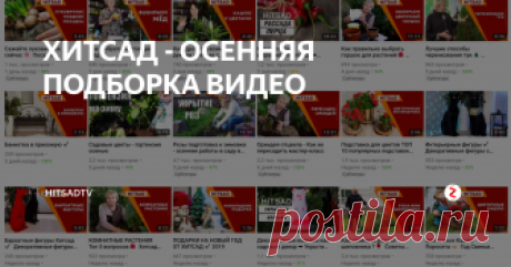 ХИТСАД - ОСЕННЯЯ ПОДБОРКА ВИДЕО | HitsadTV | Яндекс Дзен