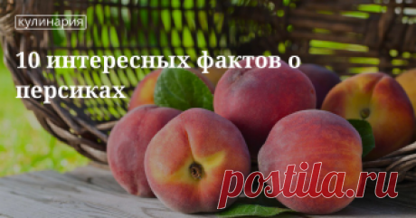 10 интересных фактов о персиках 10 интересных фактов о персиках | Кулинарный сайт Юлии Высоцкой: рецепты с фото