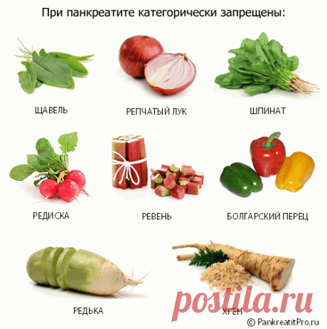 Какие из продуктов нельзя есть при панкреатите?