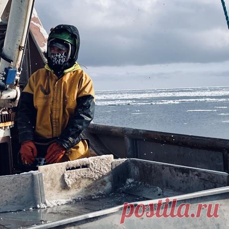 🚢 Онлайн курс и материалы о работе в промысловом флоте Норвегии
💝 От профессионального моряка и дипломированного тралмастера
📚 Полезные уроки 🧠 Инструкции 🚢 Крюинги 📝 Агрегаторы и каталоги