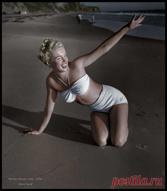 49751588603_1488f55b24_b.jpg (854×975)