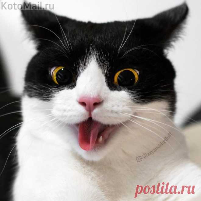 Ура! Пятница пришла!