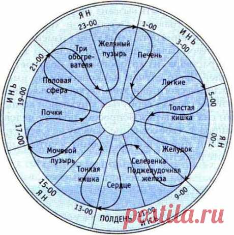 (6) Сюи Минтан, Мастер Чжун Юань Цигун