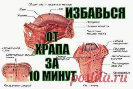 КАК ЗА 10 МИНУТ ИЗБАВИТЬСЯ ОТ ХРАПА НАДОЛГО! | Хитрости Жизни