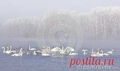 Stock Photos, Royalty-Free Images & Video Footage By Dreamstime Stock Photography