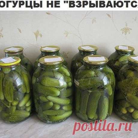 И огурцы не взрываются!