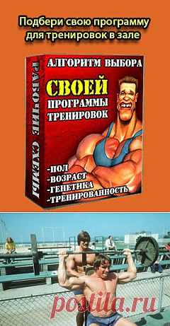 Как составить программу для тренажерного зала | Sport - My Way