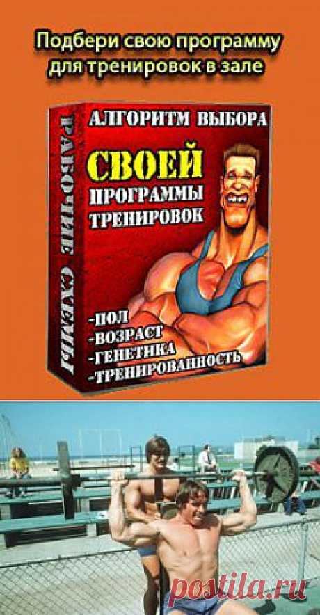 Как составить программу для тренажерного зала | Sport - My Way