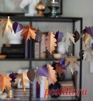 Ideas and Decor