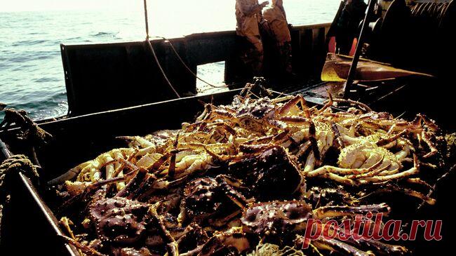 На Колыме двух рыбаков будут судить за незаконную переработку морепродуктов