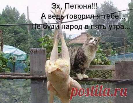 Докукарекался.
