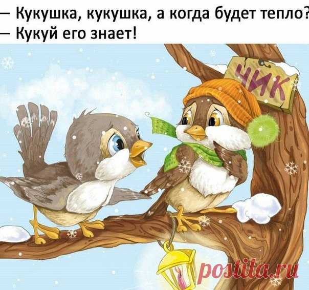 ШУТНИЦА