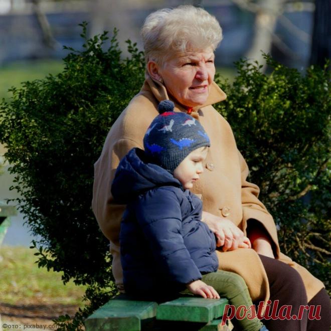 За что не должны платить пенсионеры в этом году: шесть случаев | Юридические тонкости | Яндекс Дзен