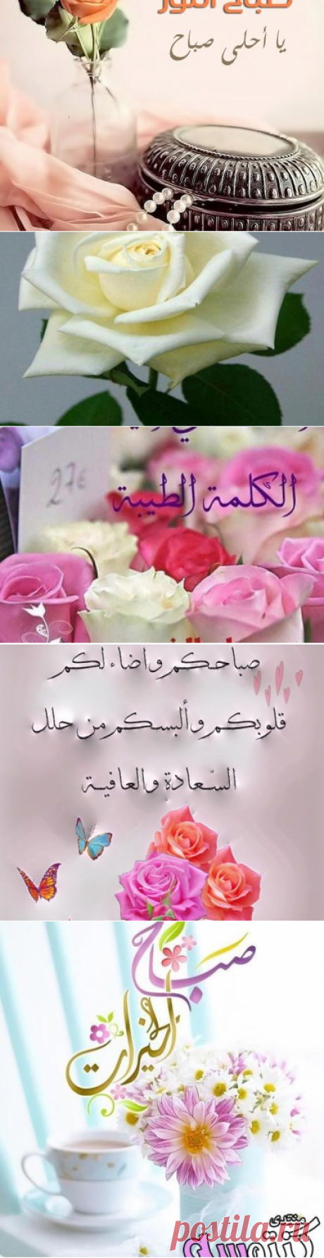 اجدد صور صباح الخير دعاء تويتر - سيدات مصر