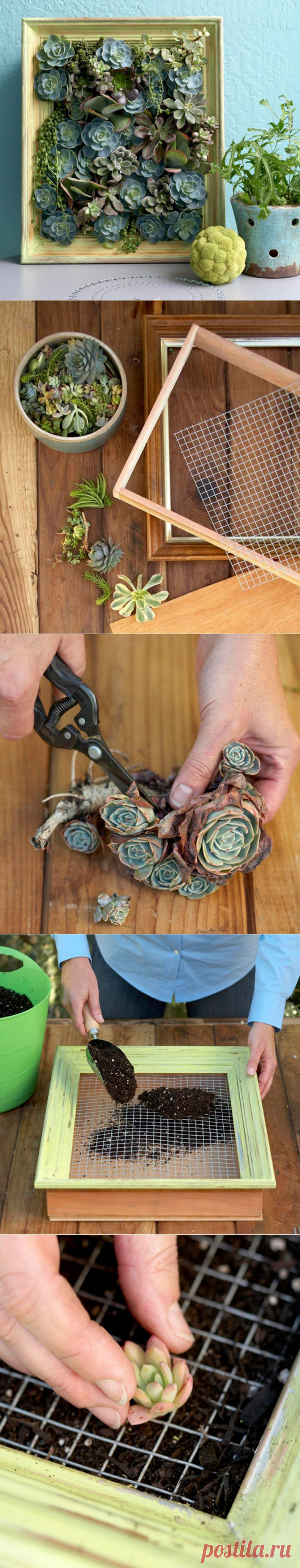 букеты из цветов и конфет | Записи в рубрике букеты из цветов и конфет | Дневник fljuida