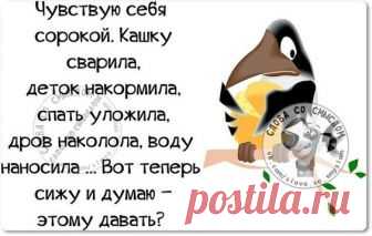 Картинки с юмором: прикольные надписи и фразы | В темпі життя
