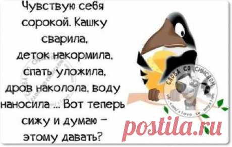 Картинки с юмором: прикольные надписи и фразы | В темпі життя